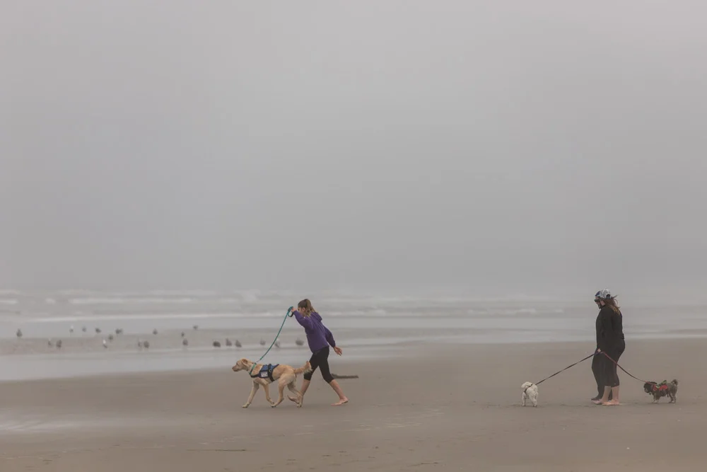2018 Oregon Coast Road Trip-32.jpg