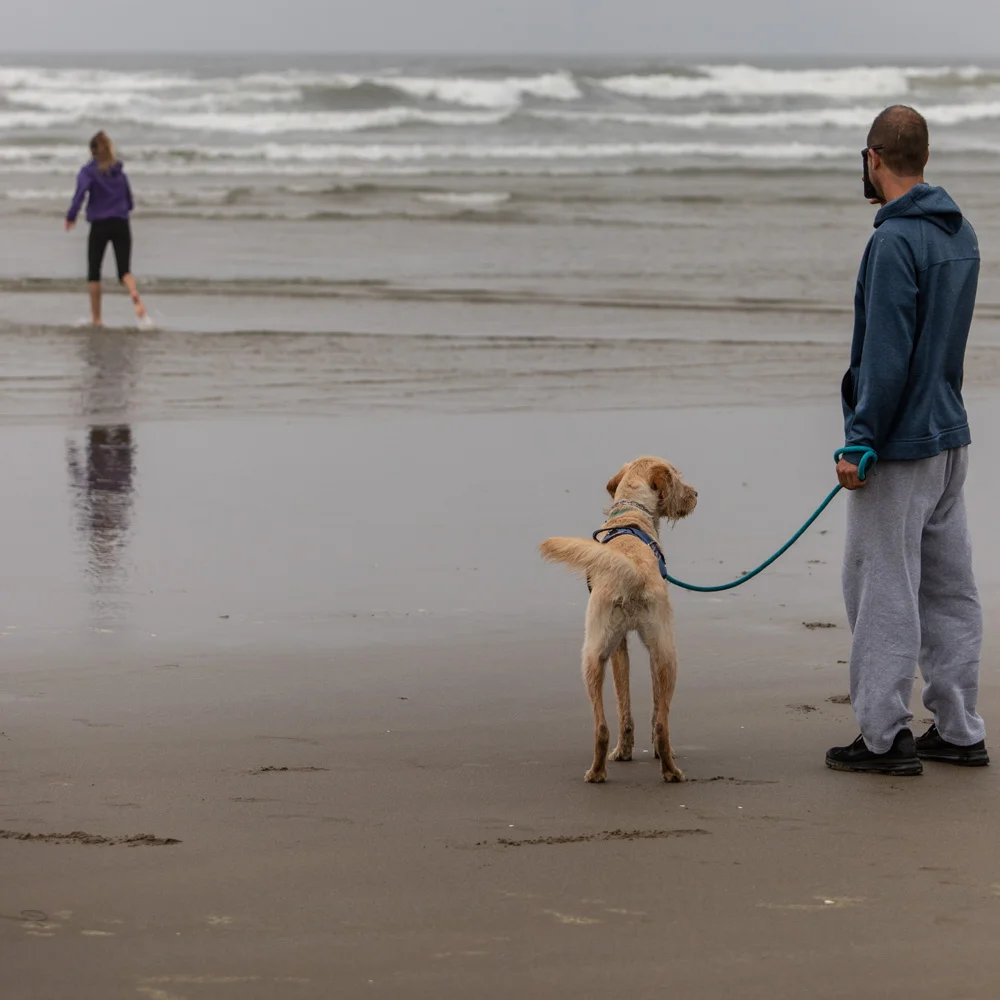 2018 Oregon Coast Road Trip-41.jpg
