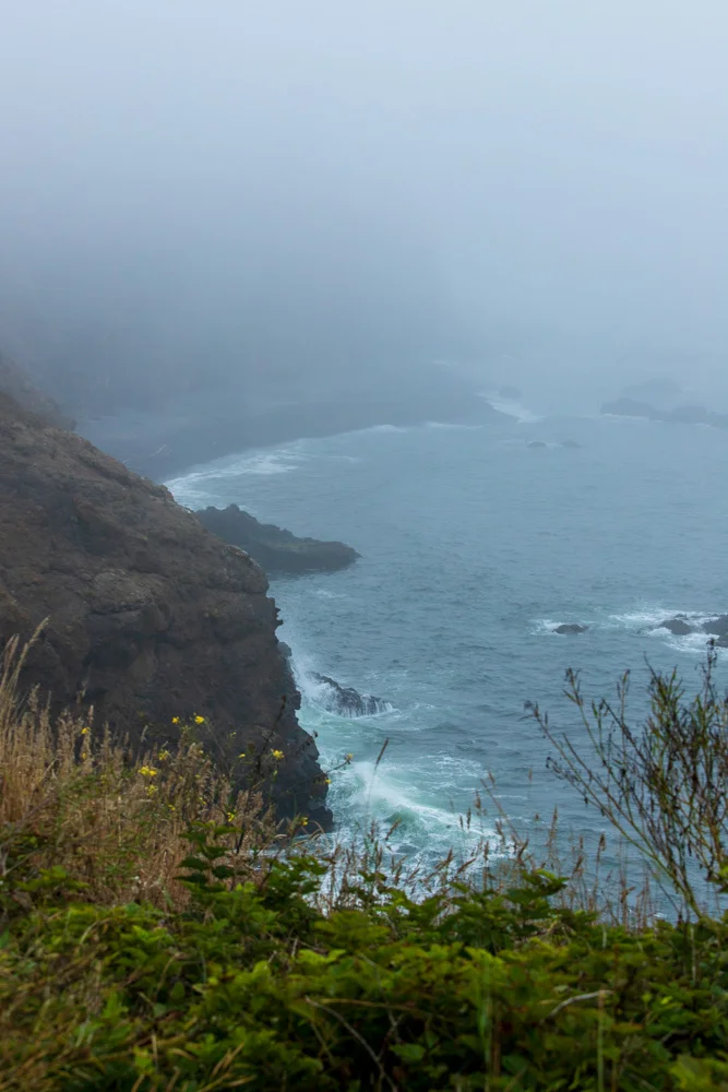 2018 Oregon Coast Road Trip-73.jpg