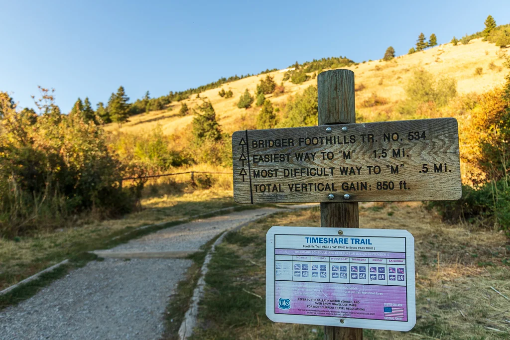 2018 M Hike-767.jpg