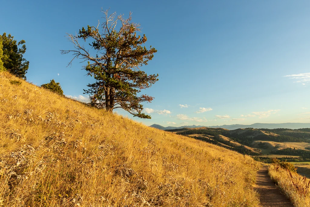 2018 M Hike-792.jpg