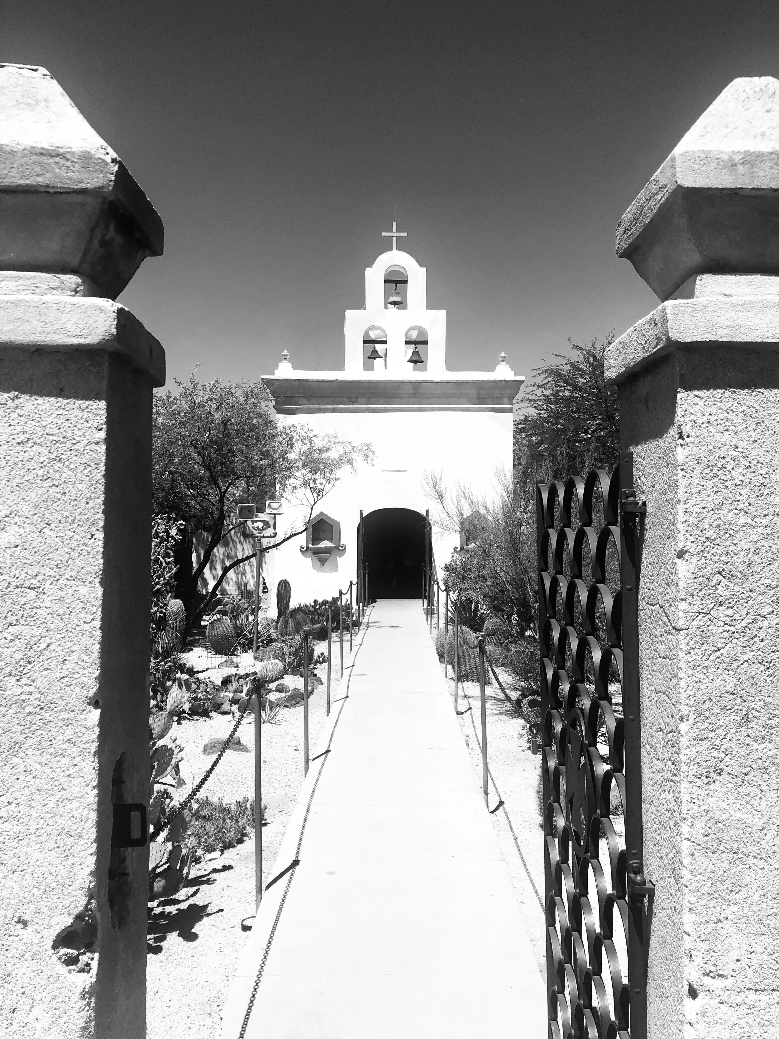 IMG_3575.jpeg