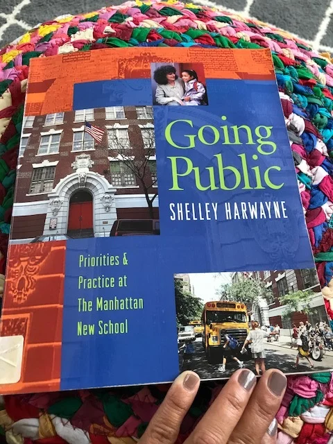 Going Public by Shelley Harwayne