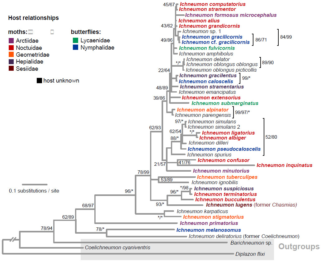 Figure 1. Family preference of wasps within a single genus, showing high variation in hosts