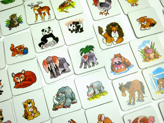 Pictured: The Best Animals