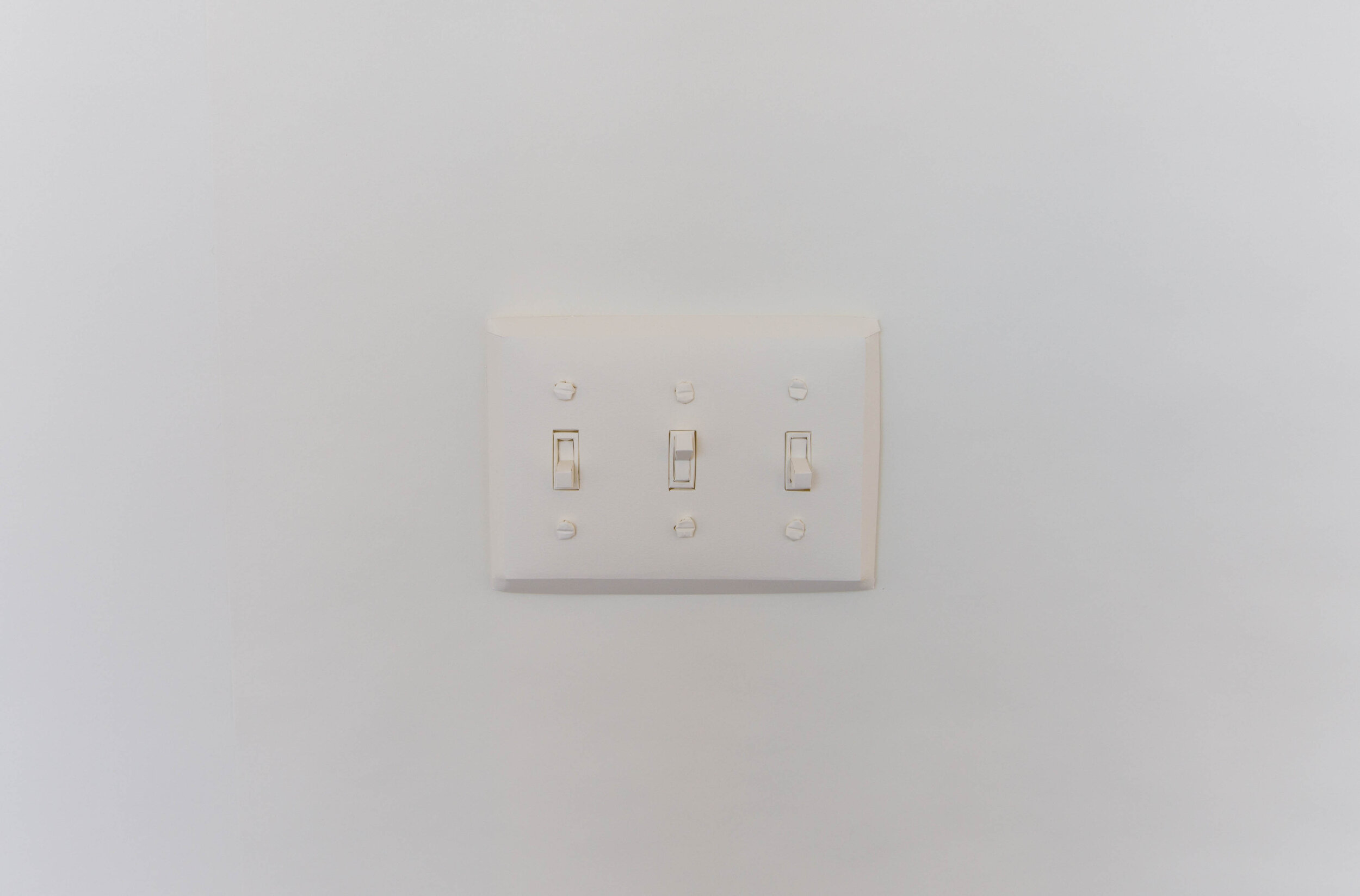 3 Switch Plate