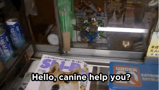 anigif_enhanced-19547-1407015437-1.gif