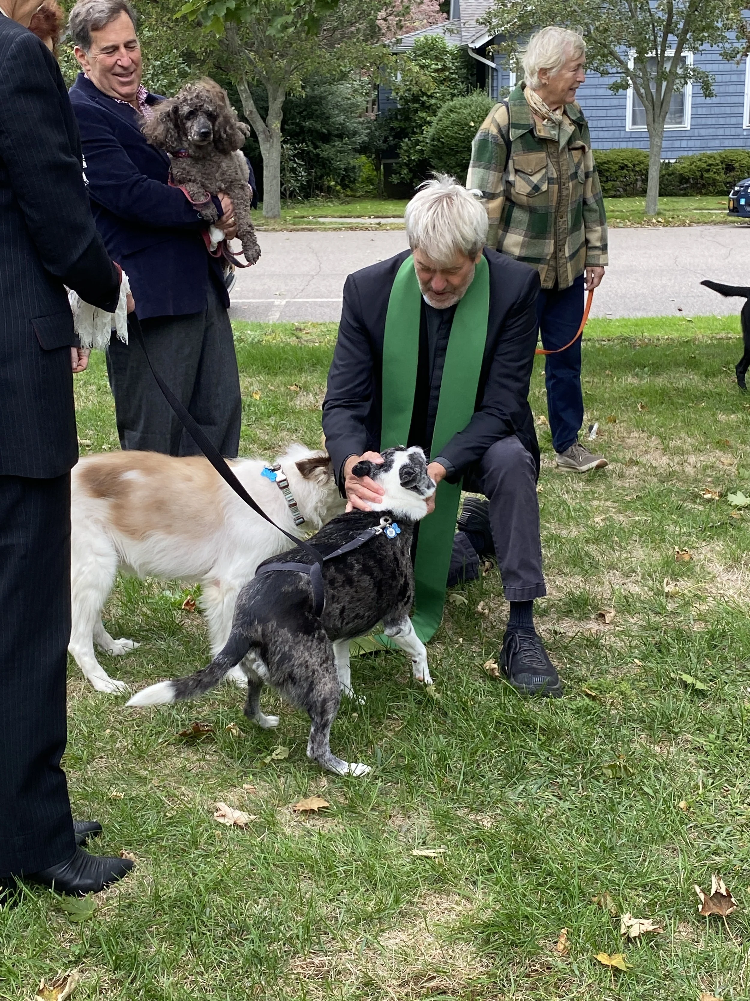 blessing-of-the-animals-upright.jpg