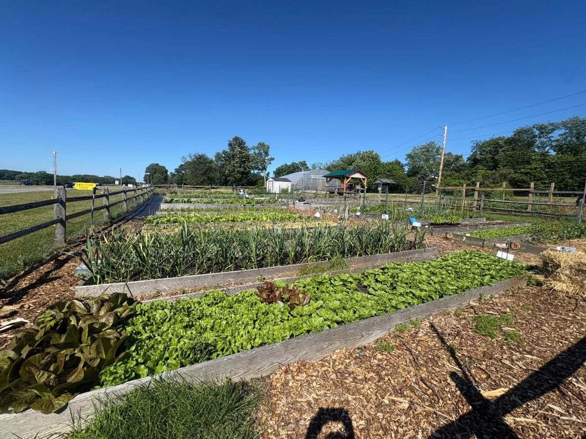 newsletter-garden-beds.jpg