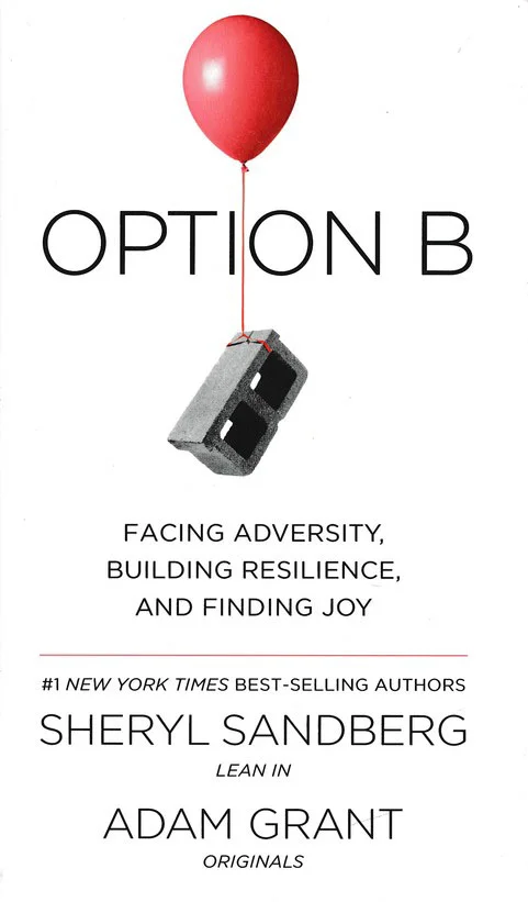 OptionB.jpg