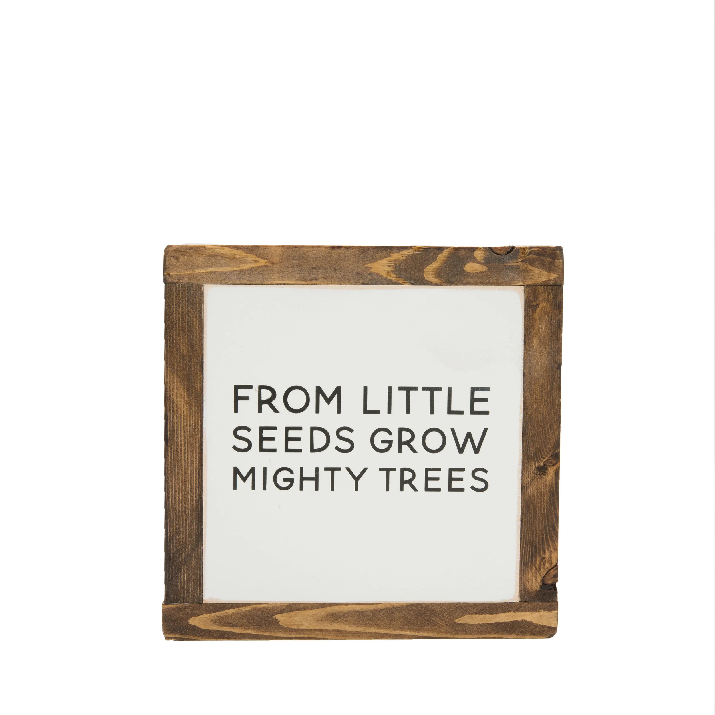 Seeds_1.jpg