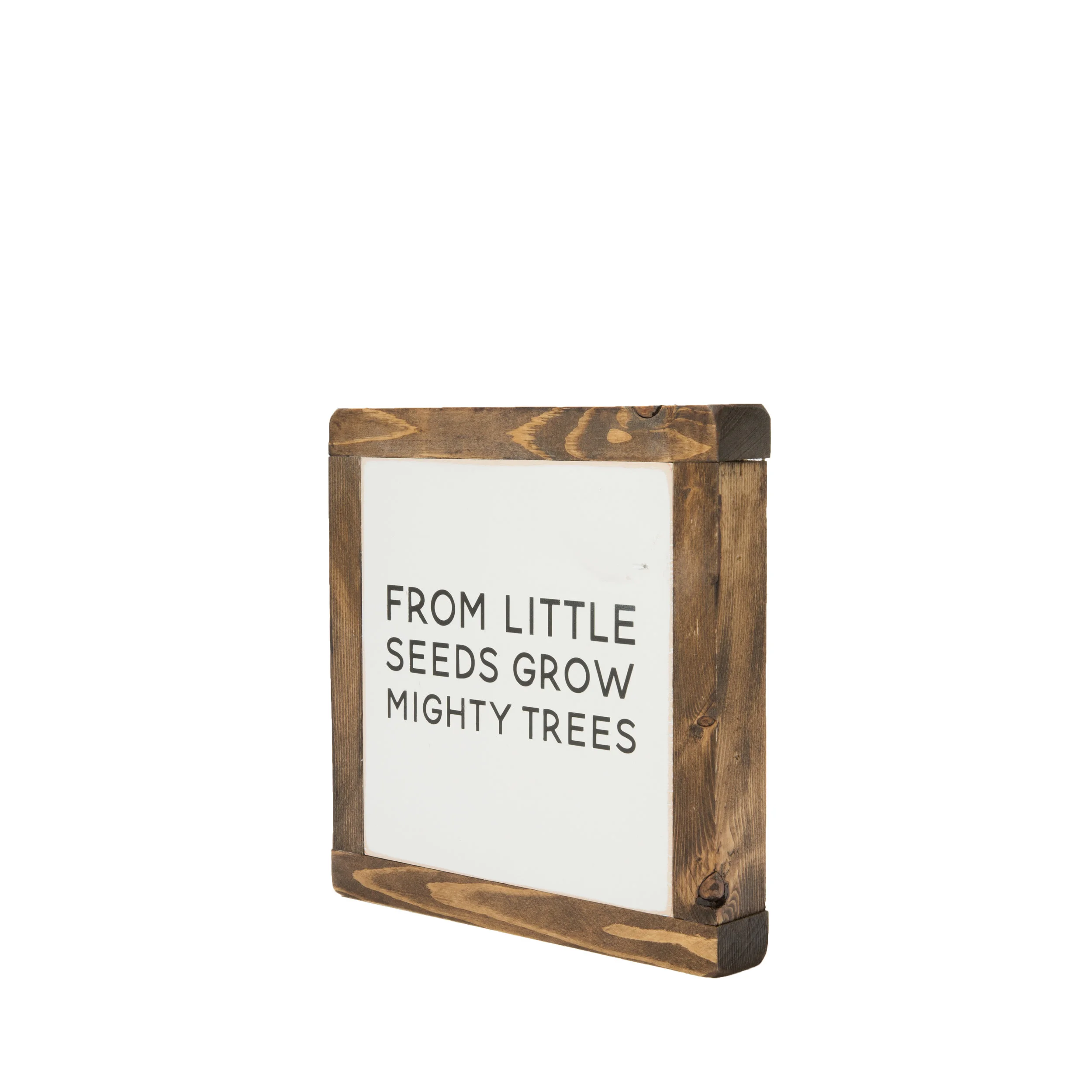 Seeds_2.jpg