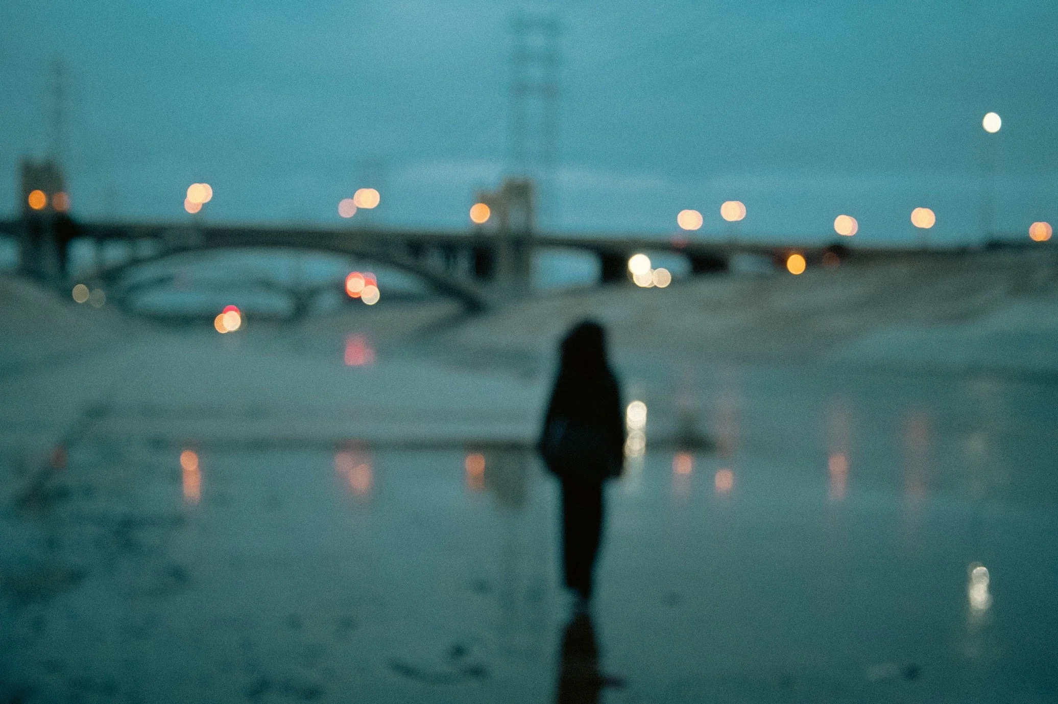 PLIGHT FEATURE 2024-8.jpg