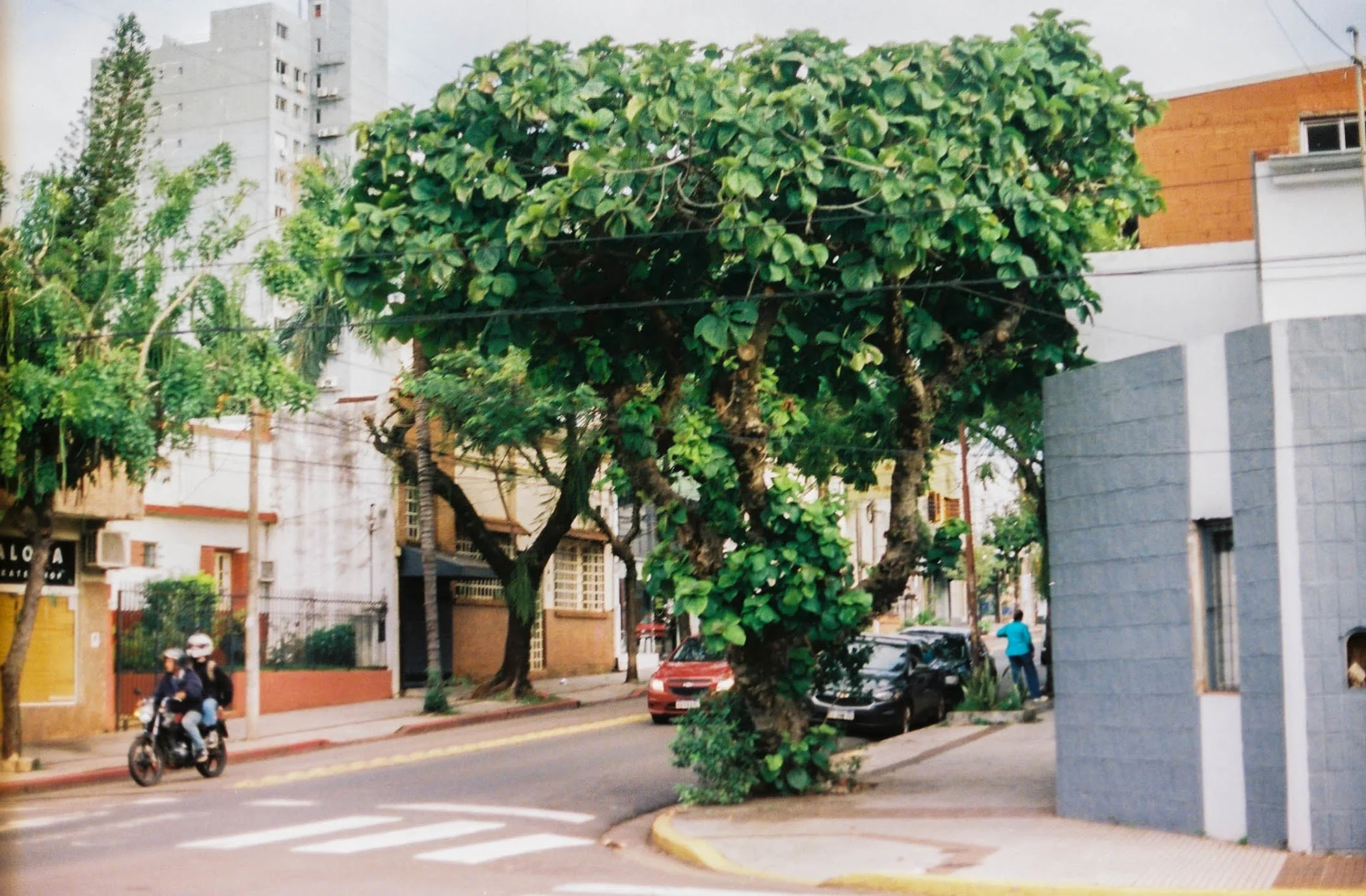 arg35mm-26.jpg