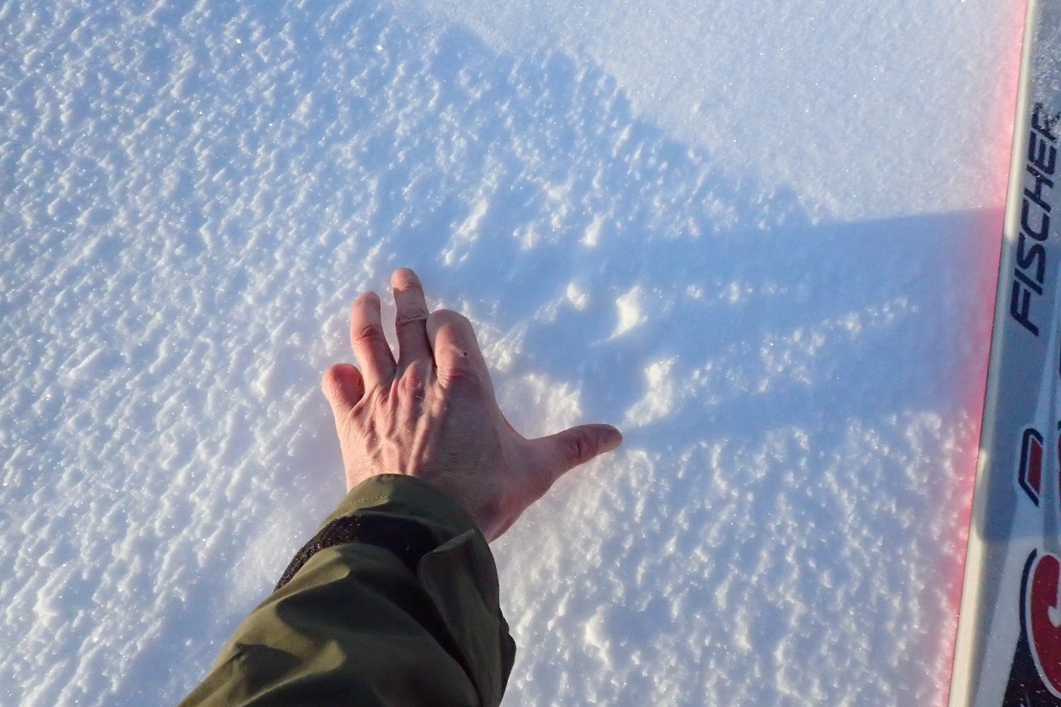 On the first day of skiing we spotted footprints of a medium-sized polar bear. I am pleased to save we didn’t encounter the bear!