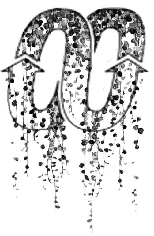 Screen Shot 2020-10-27 at 1.35.07 PM.png