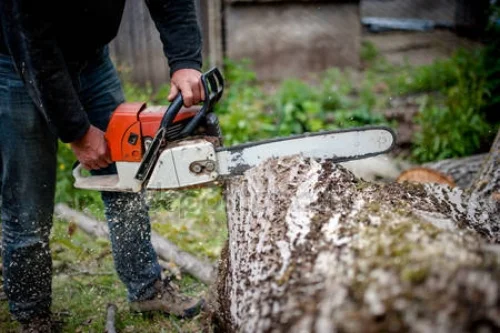 depositphotos_46383873-stock-photo-man-cutting-trees-using-an.jpg