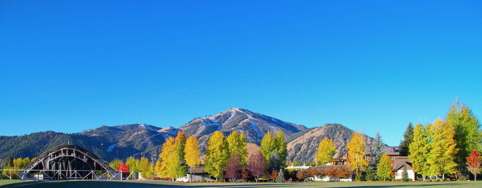 SV_Area-49.jpg