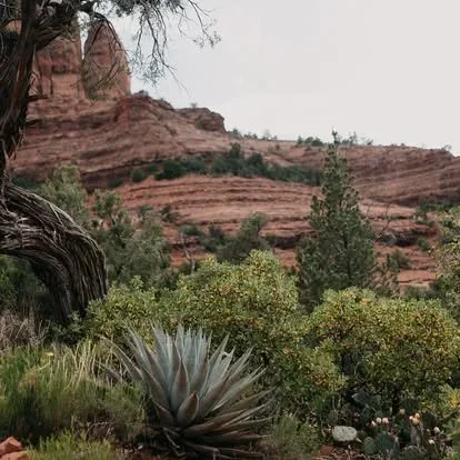 Acadia National Park elopement photographed by a Maine elopement photographer with expertise in coastal weddings, national park permits, and intimate ceremonies
Downeast Maine elopement photography capturing a couple getting married along the rocky c