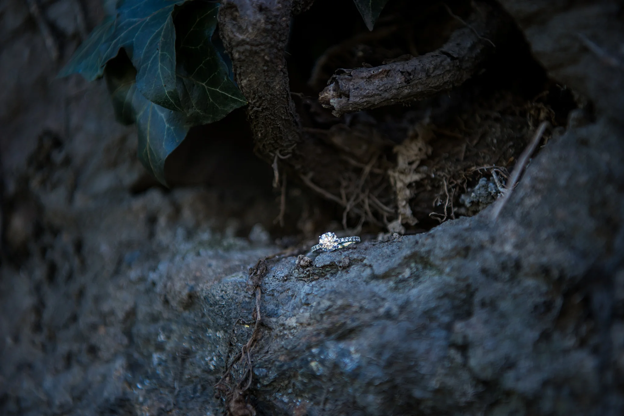 FontanaEngagement-137.jpg