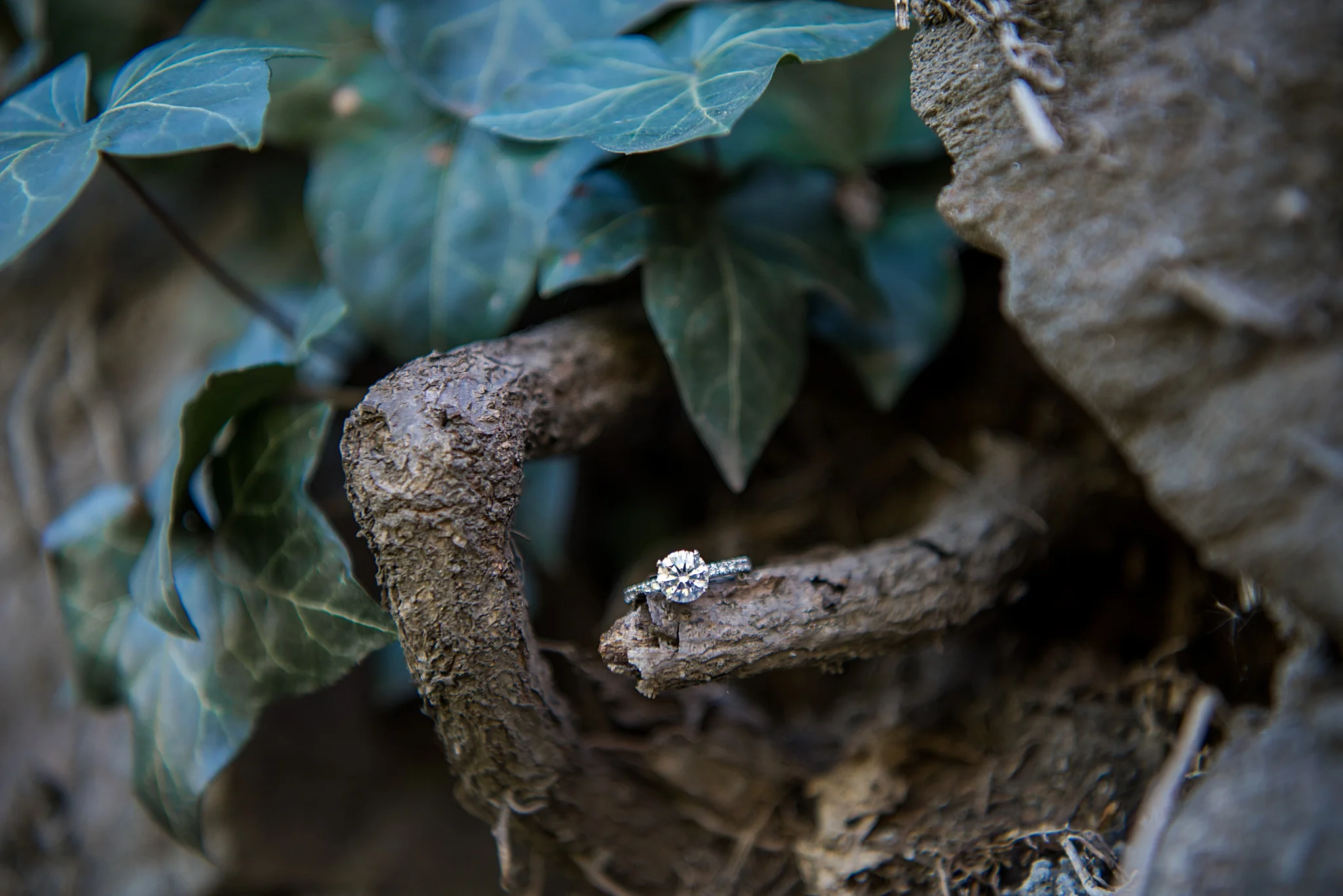 FontanaEngagement-143.jpg