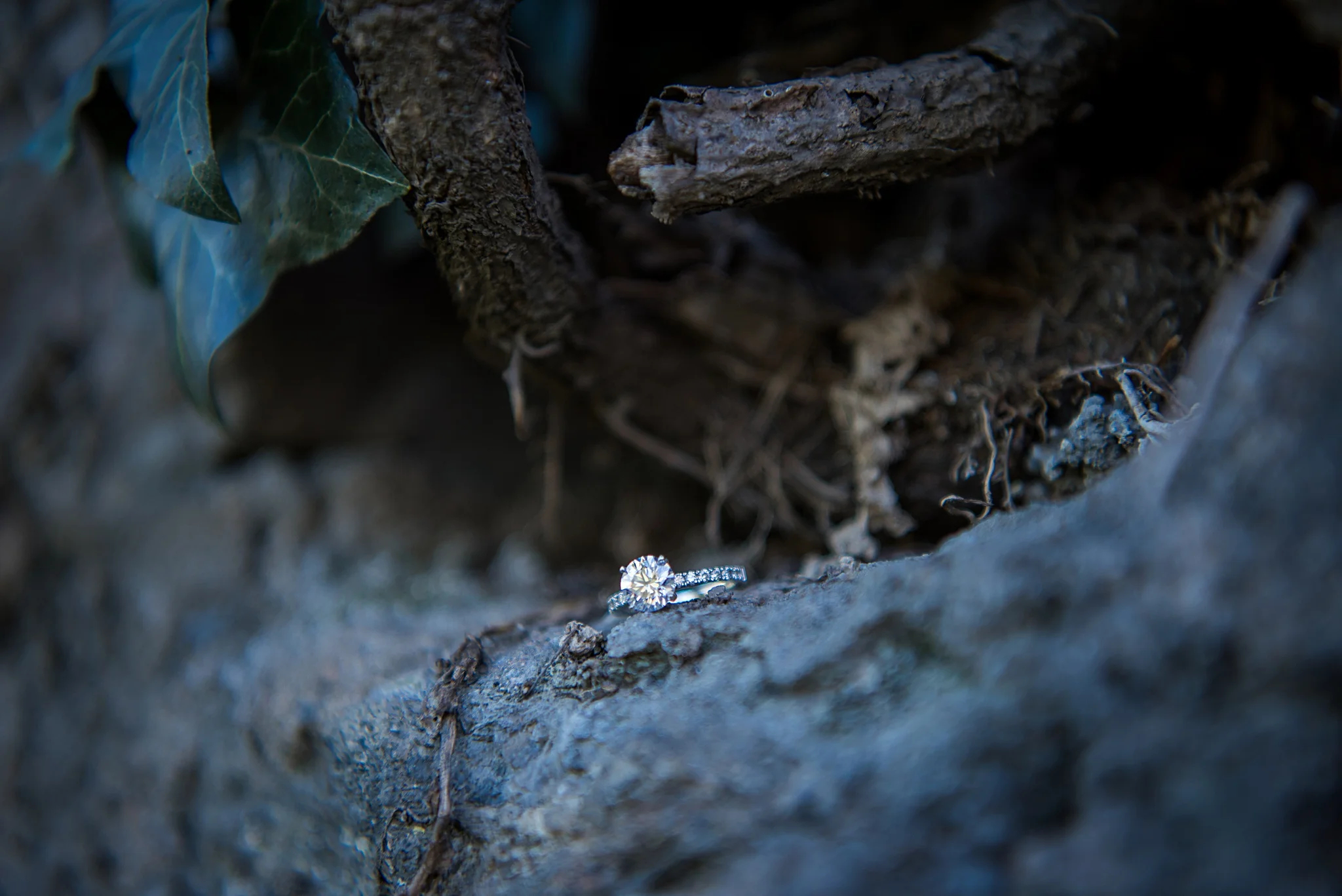 FontanaEngagement-139.jpg