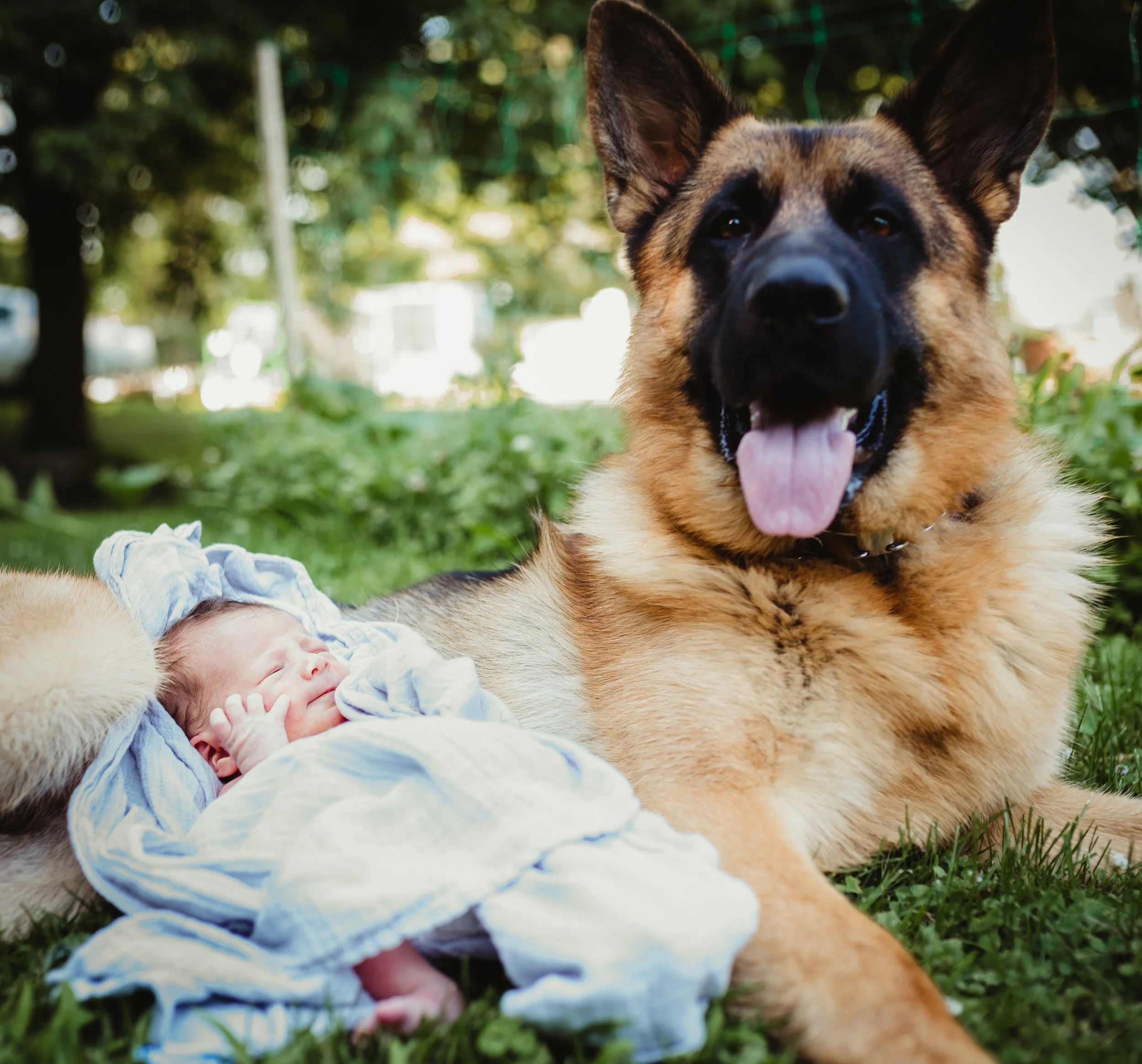 Big Brother, Protector: Mordecai | A Maine Newborn Portrait Session {Photo by Emily Rendall}