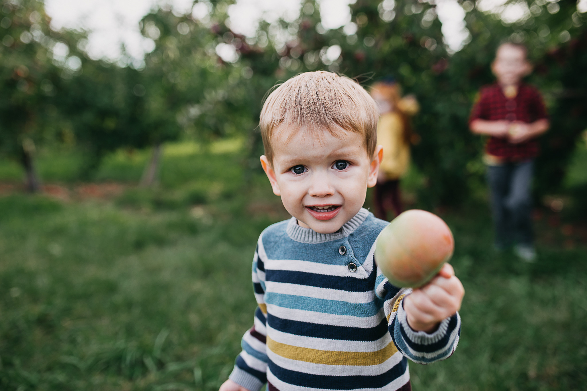 Poirier.orchard.comp--3.jpg