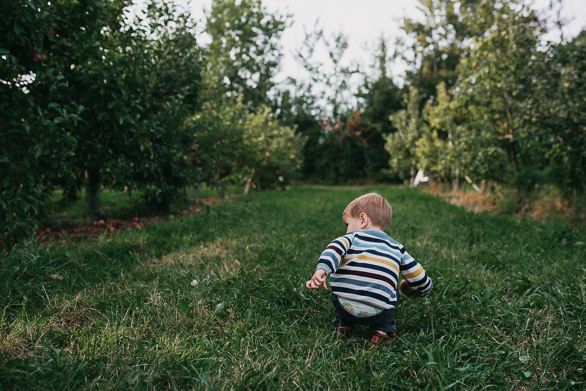 Poirier.orchard.comp--110.jpg