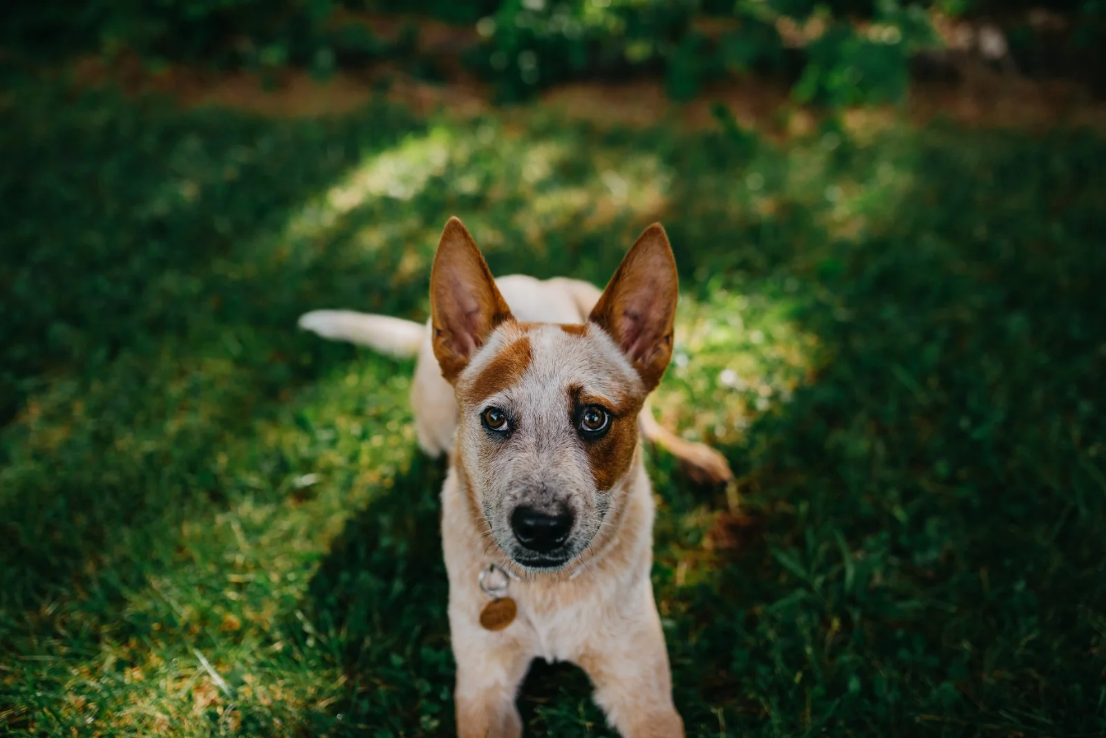 Photo by Rebecca Elaine | Beaux & Arrows | beauxandarrows.com