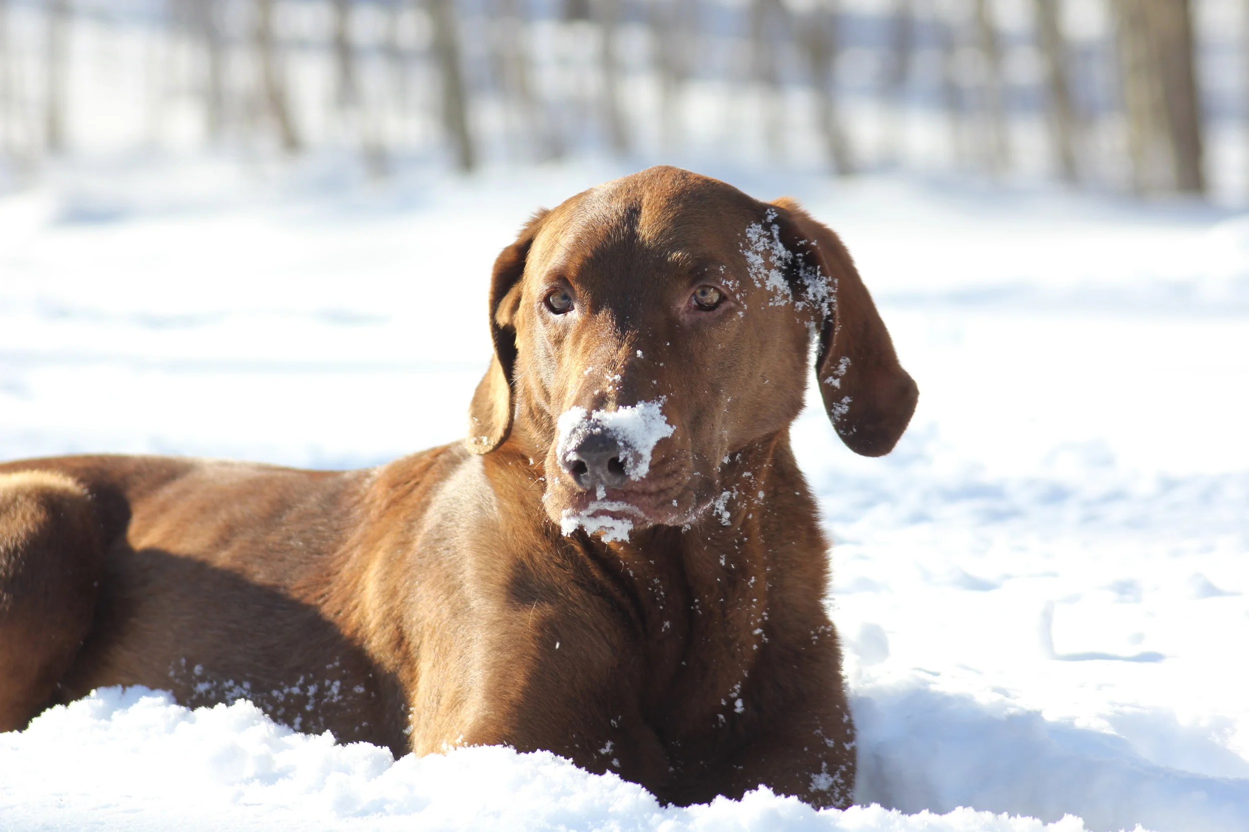 Owen | Photo by Stephanie