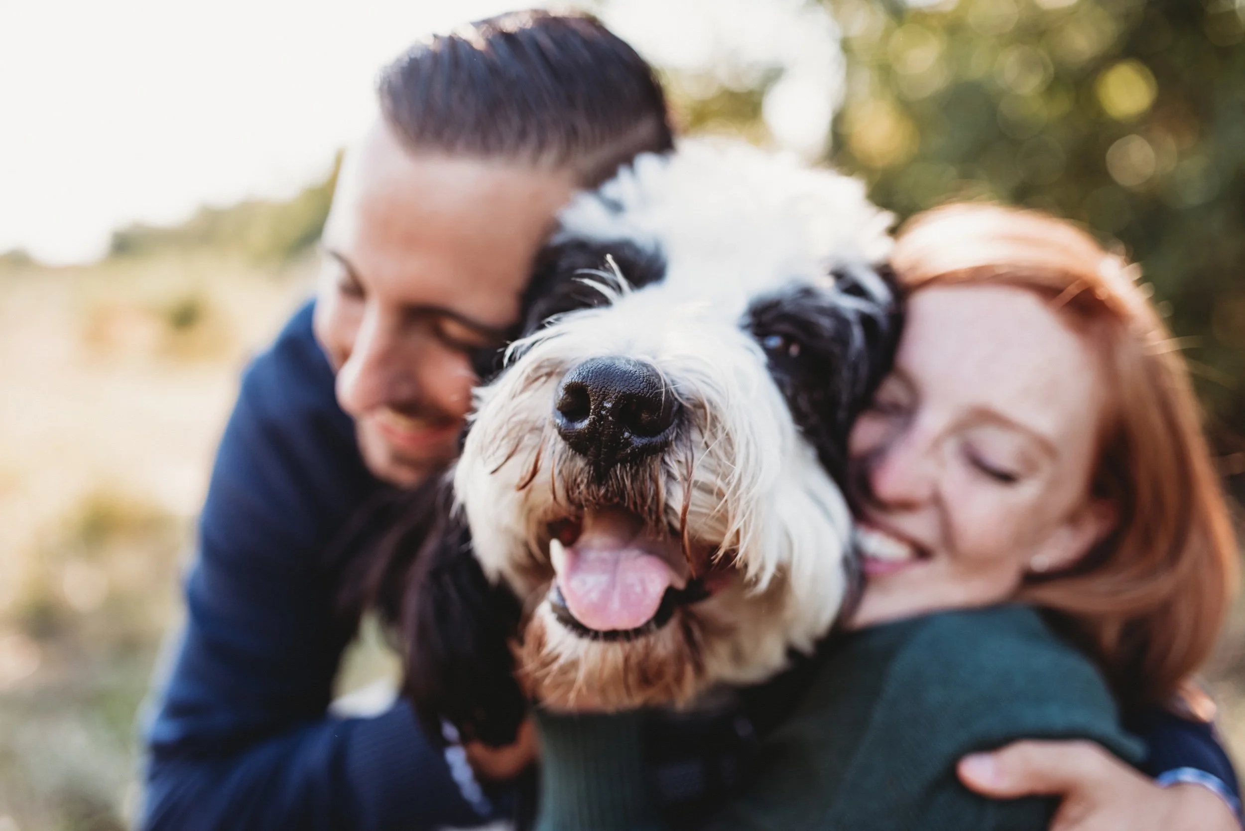 Teddy! | Maine &amp; New England Dog Photographer
