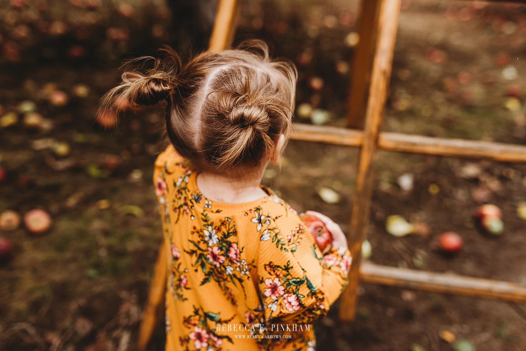 September 14, 2024 | Wallingfords Orchard Maine Family Photoshoot Mini Sessions