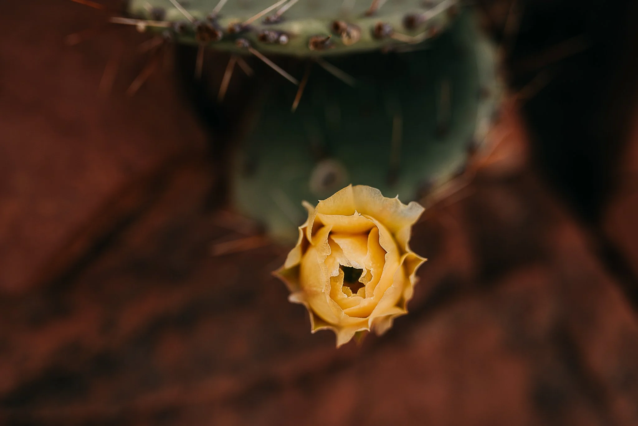 A Maine Photographer Named One of Arizona’s Best: The Magic of Sedona Through My Lens