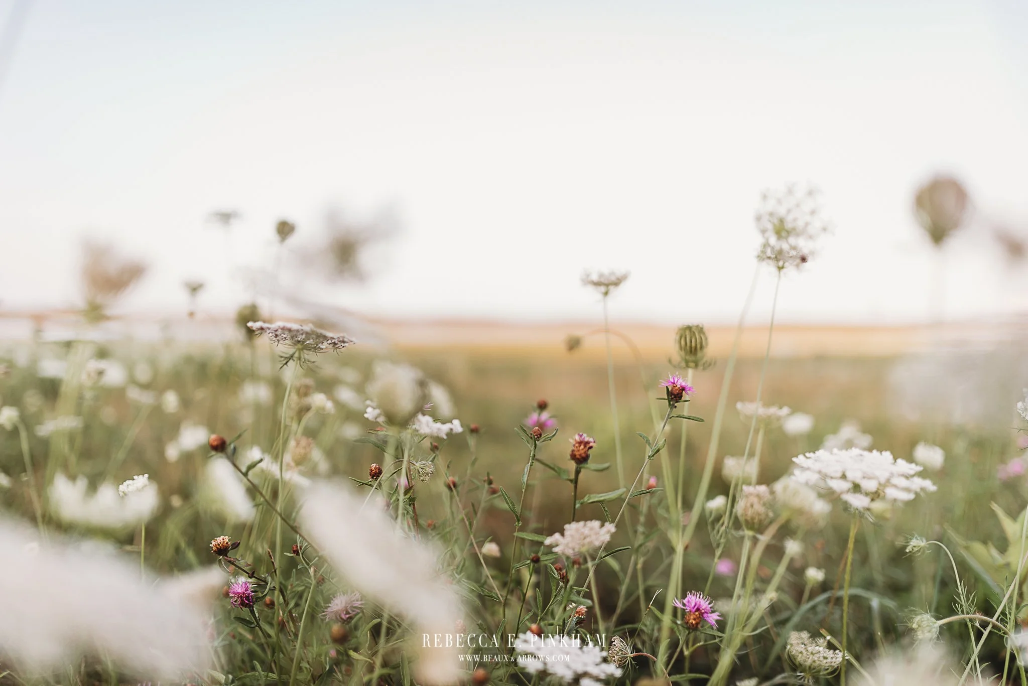 Beaux &amp; Arrows: Where Luxury Photography Meets Storytelling Elegance