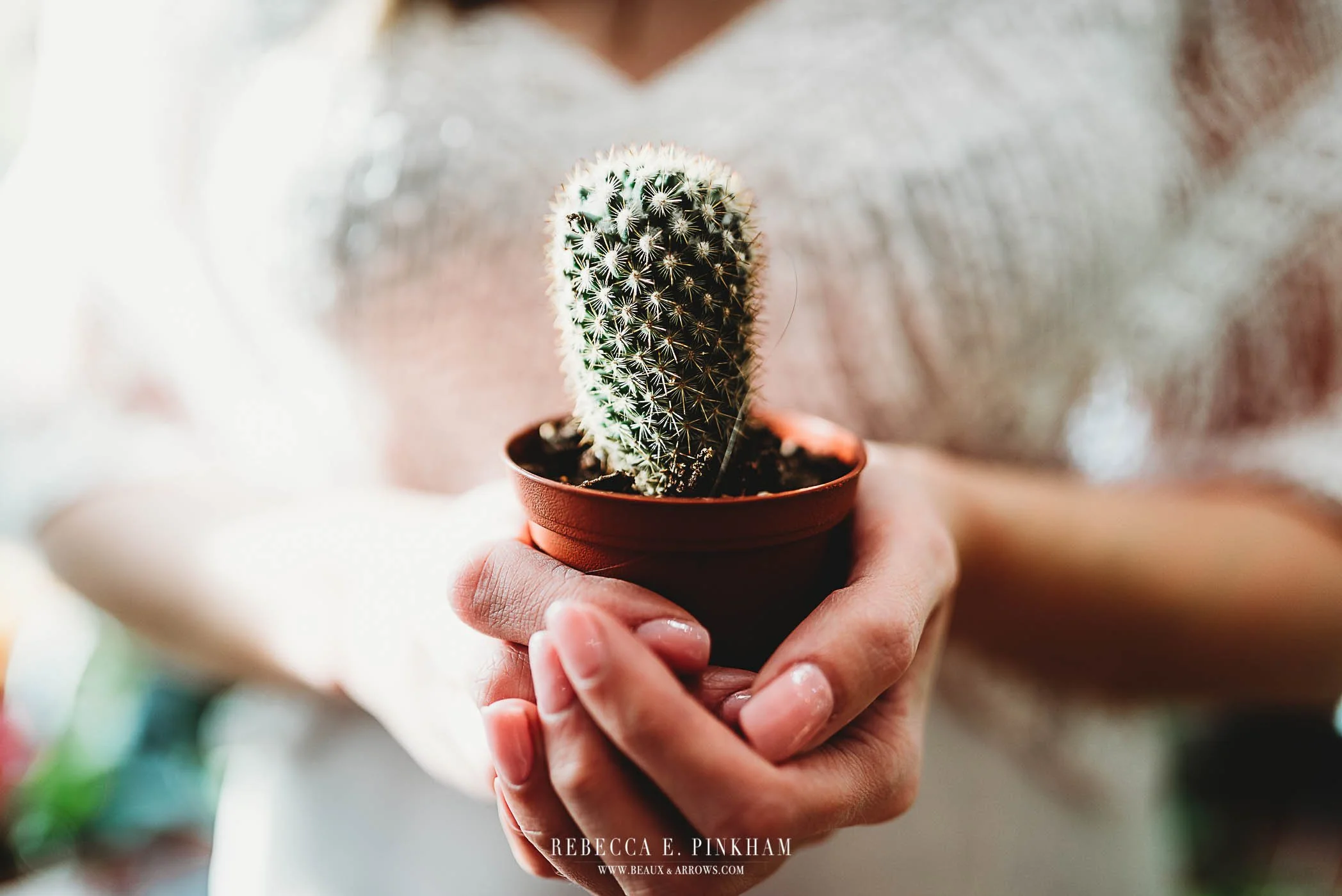 Building Your Brand Through Lifestyle Photography: Beaux and Arrows’ Approach to Visual Storytelling