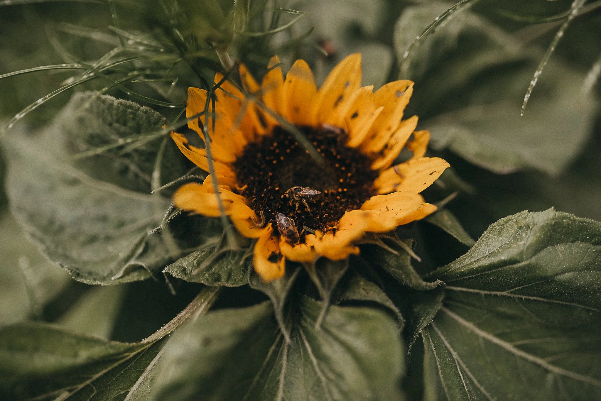 🌸Welcome, Lovely New Clients!