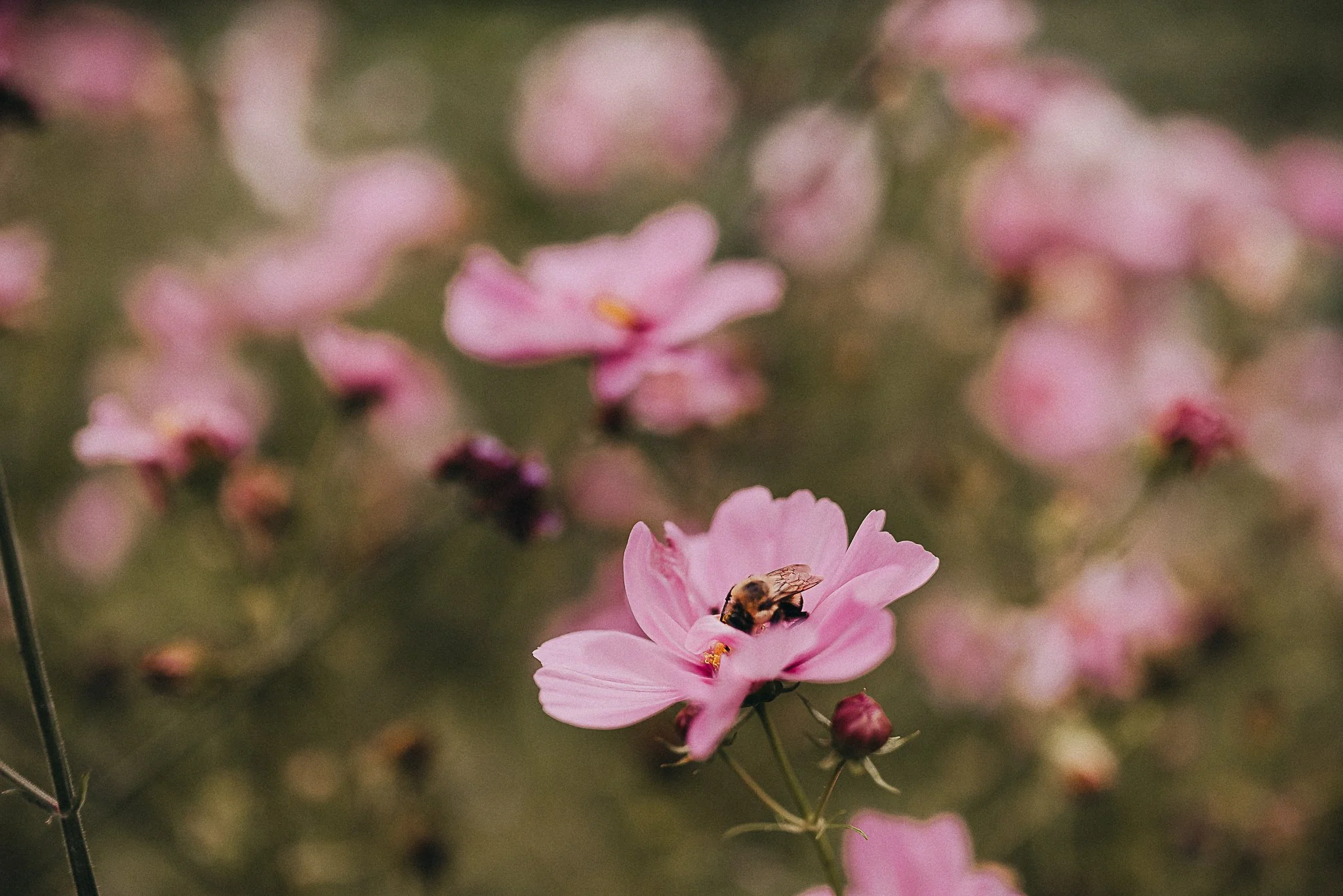 Luxury Wedding Photography in New England: Capturing Timeless Elegance