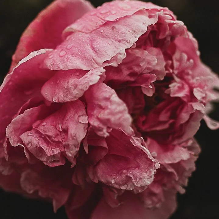 Portland, Maine Model Call &amp; Open Casting