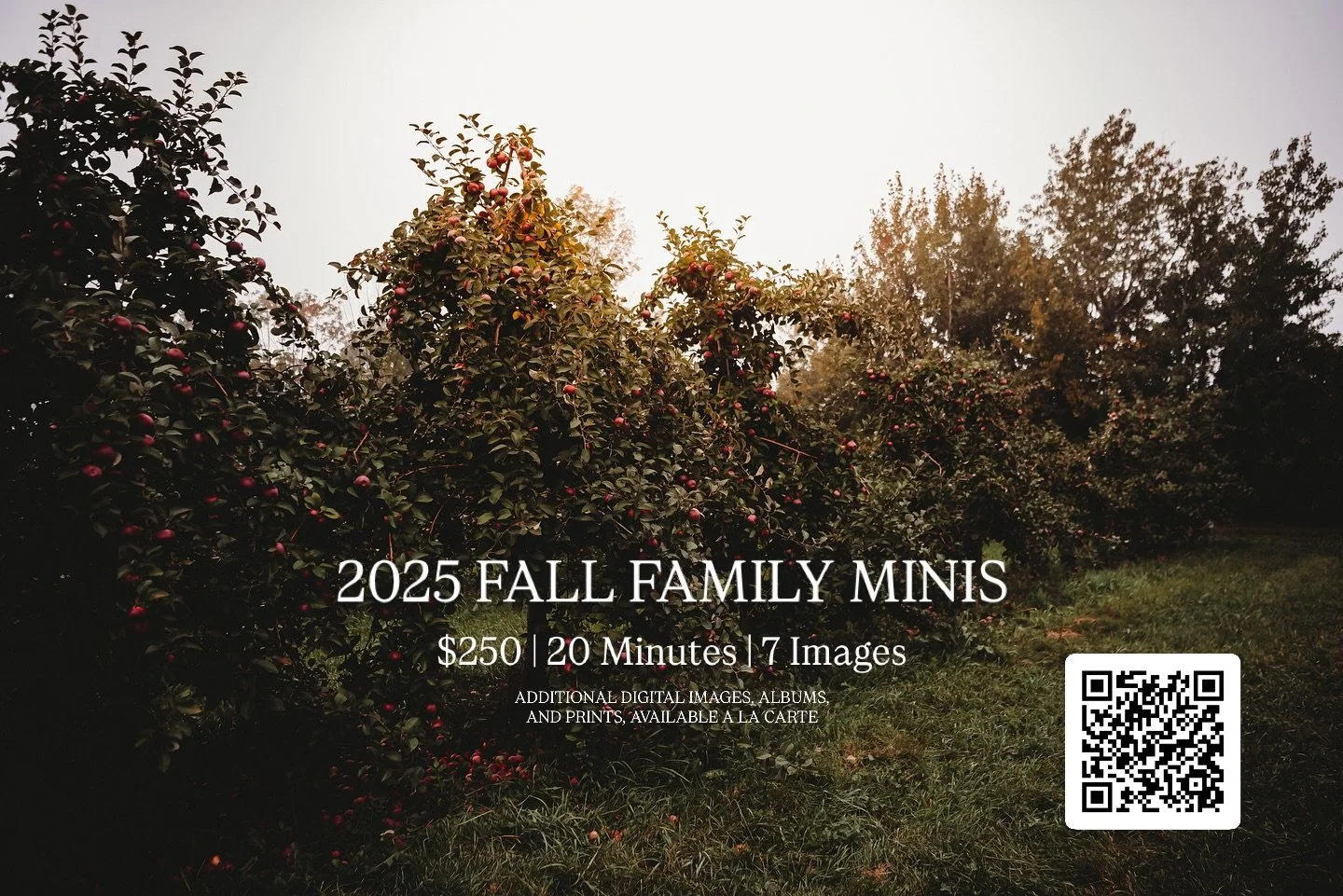 Sunday, October 19th
Saturday, October 25th
Sunday, October 26th

📍Wallingford&rsquo;s Fruit House &amp; Orchard

Www.rebeccapinkham.com

.
.
#MaineFall
#MainePortraits
#MainePhotographer
#MaineFallColors
#MaineFoliage
#VisitMaine
#MaineLife
#MaineF