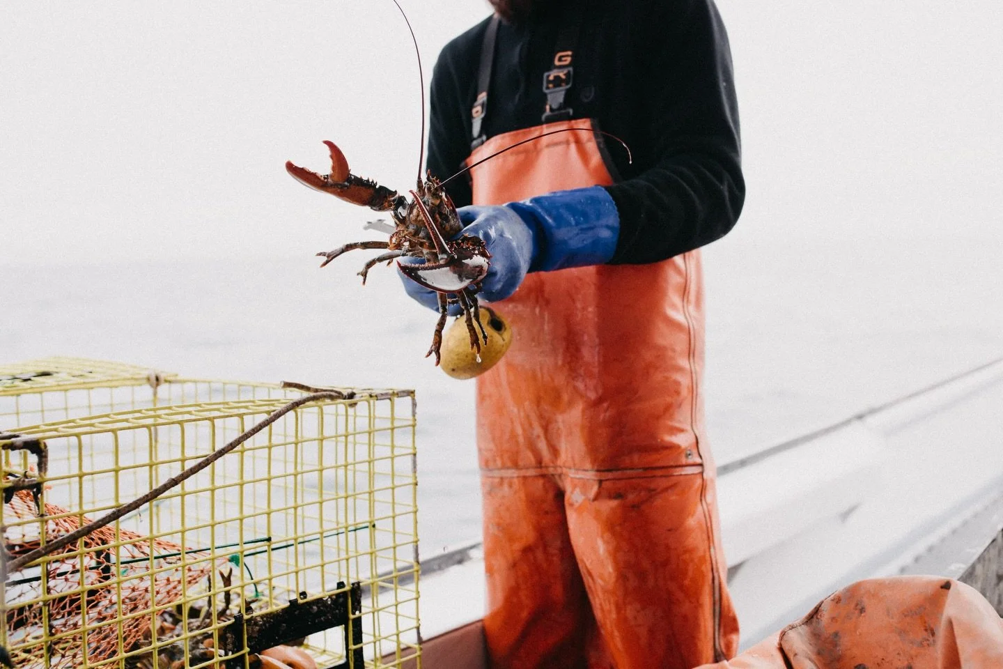 🦞Boat to Table

📦 Maine &amp; Everywhere | @turnerfamilylobster 

&mdash;&mdash;&mdash;&mdash;&mdash;&mdash;&mdash;&mdash;&mdash;&mdash;&mdash;&mdash;&mdash;&mdash;&mdash;&mdash;&mdash;&mdash;&mdash;&mdash;&mdash;&mdash;&mdash;&mdash;&mdash;&mdash;