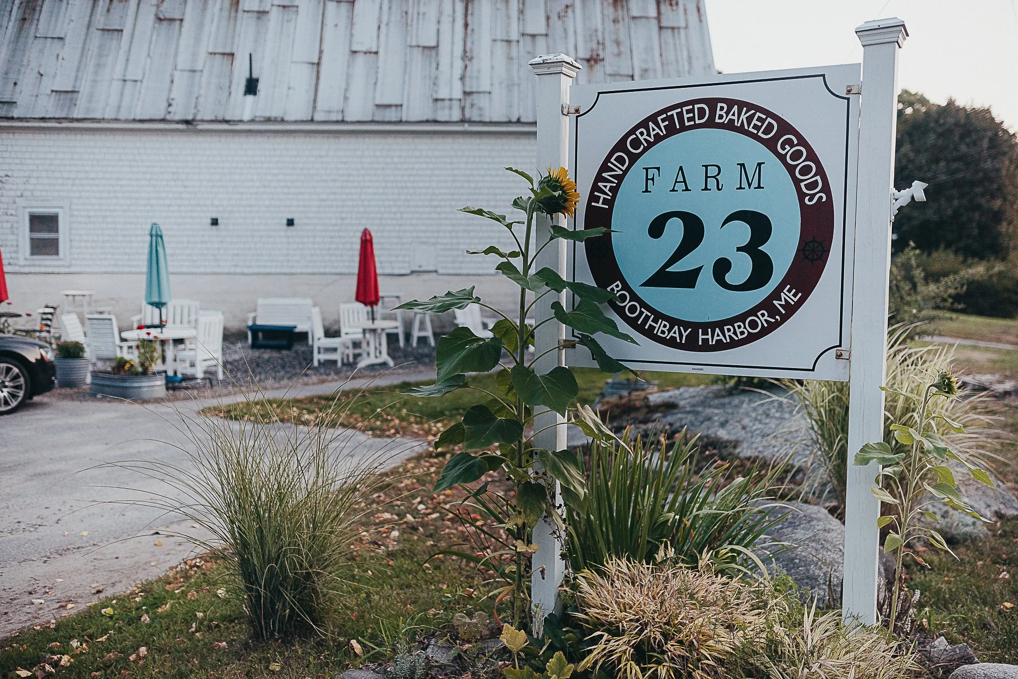 Farm23.BoothbayHarbor.Bakery.Maine.RebeccaPinkhamStevenson.BeauxandArrows.September12.2024.-7500.jpg