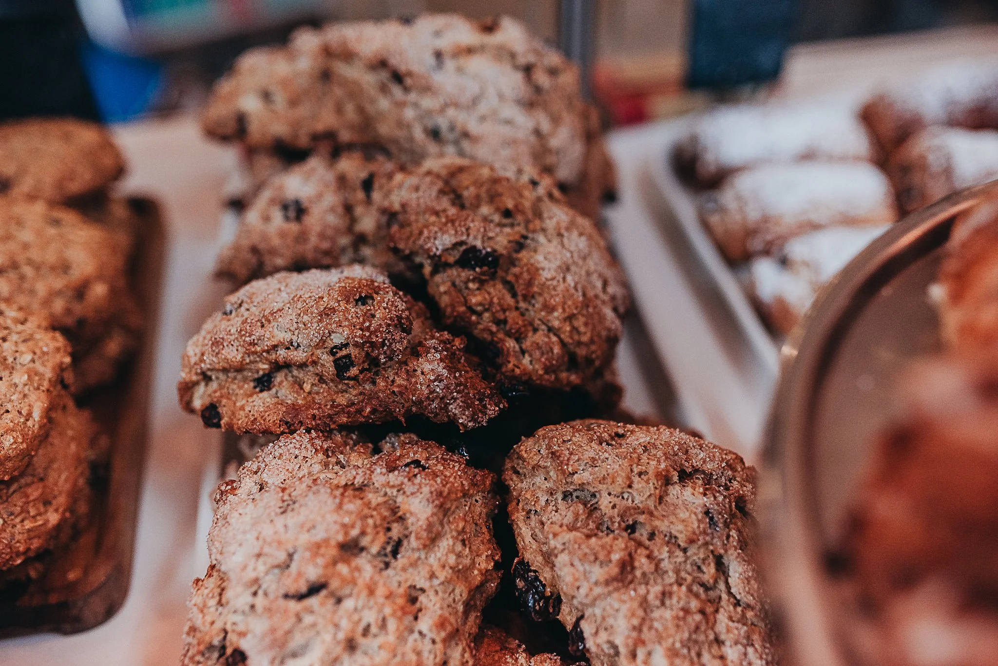 Farm23.BoothbayHarbor.Bakery.Maine.RebeccaPinkhamStevenson.BeauxandArrows.September12.2024.-7824.jpg