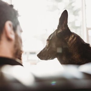 A person and a black dog facing each other indoors, with a window in the background.