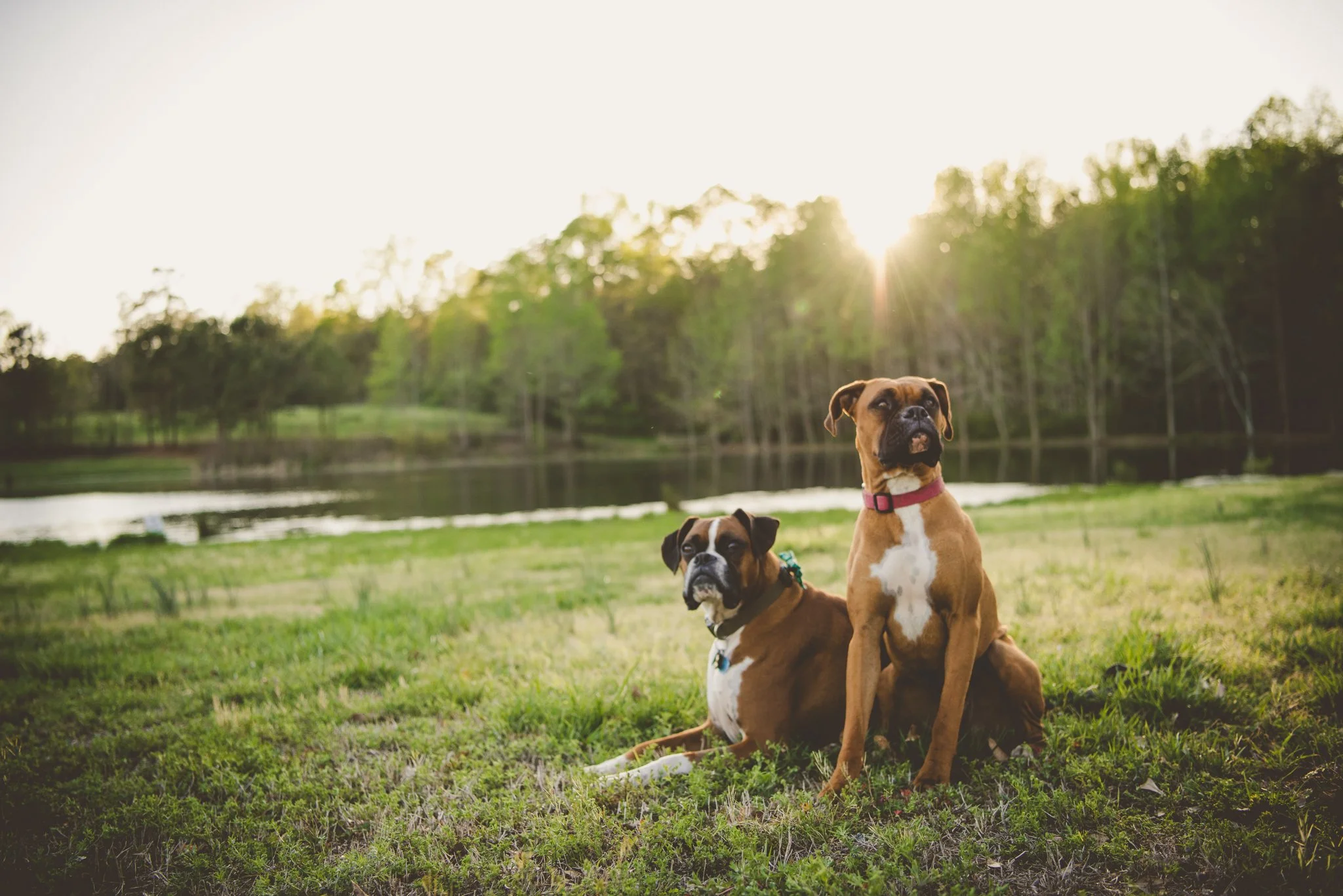 Maine Maternity Photography Rebecca Pinkham Beaux and Arrows New England Boston New Hampshire Photographer Motherhood