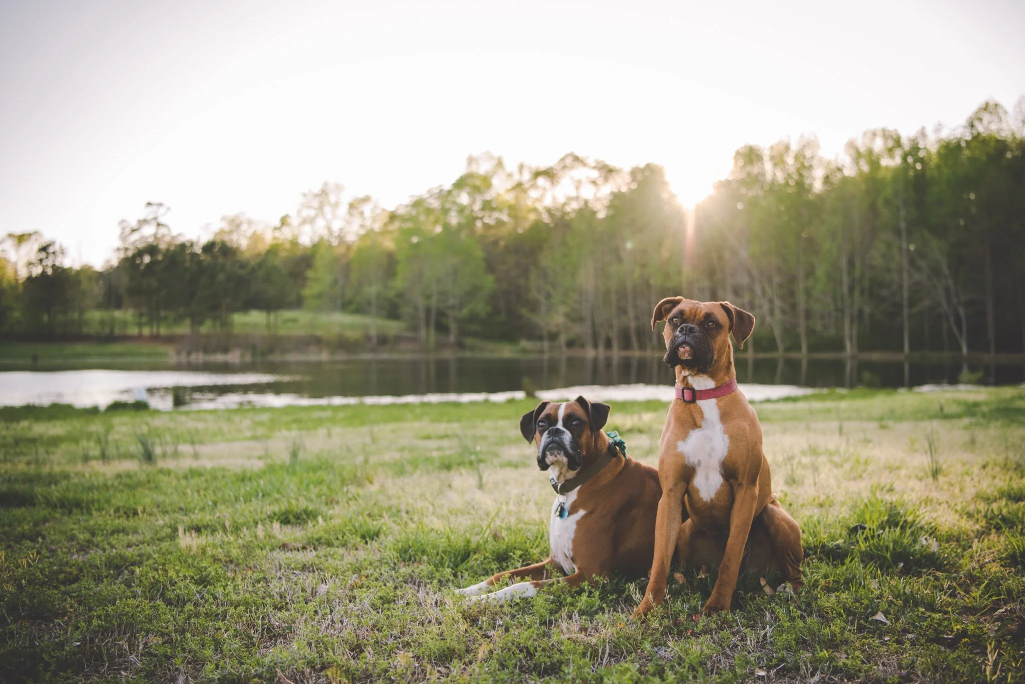 Maine Maternity Photography Rebecca Pinkham Beaux and Arrows New England Boston New Hampshire Photographer Motherhood