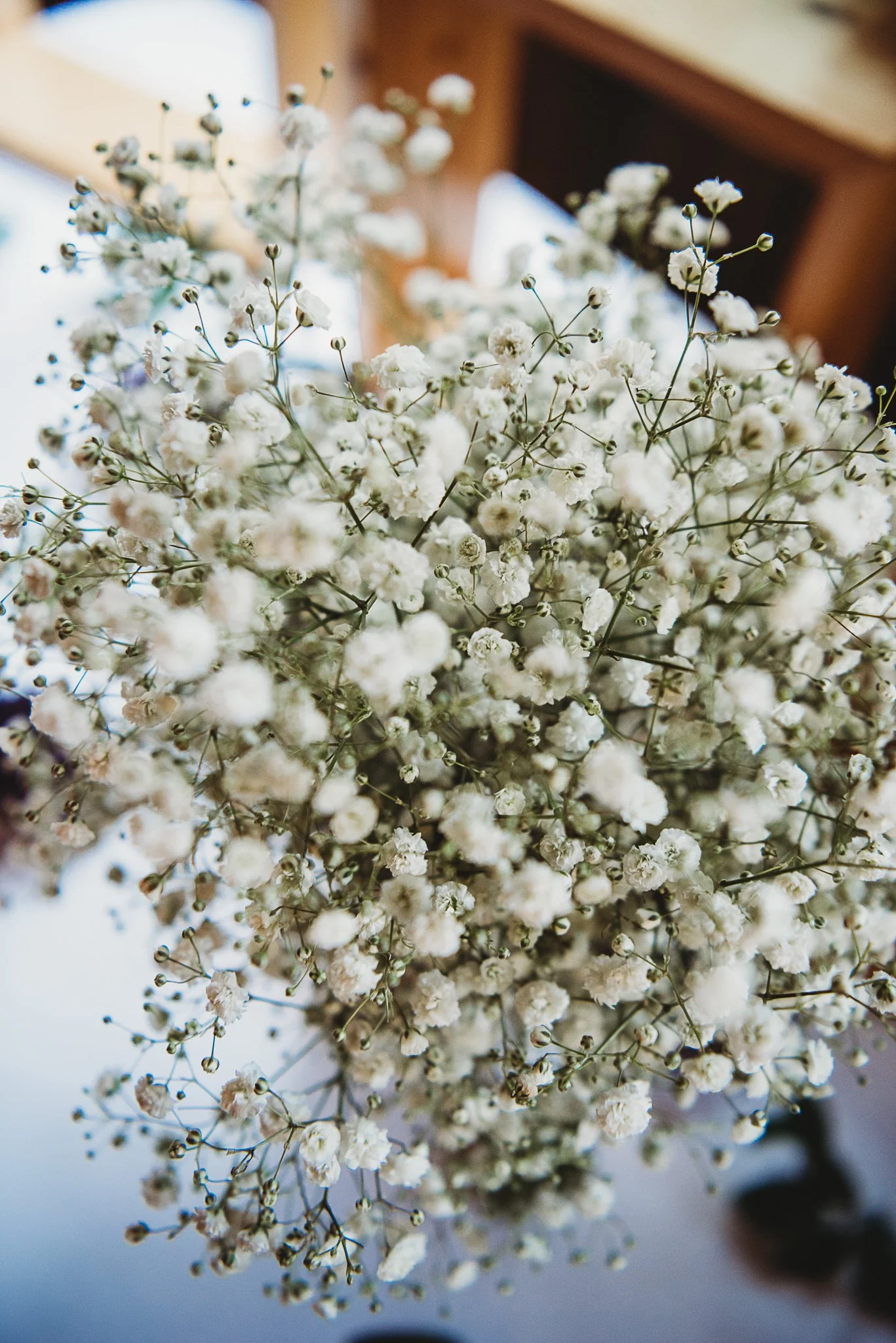 Acadia National Park elopement photographed by a Maine elopement photographer with expertise in coastal weddings, national park permits, and intimate ceremonies
Downeast Maine elopement photography capturing a couple getting married along the rocky c