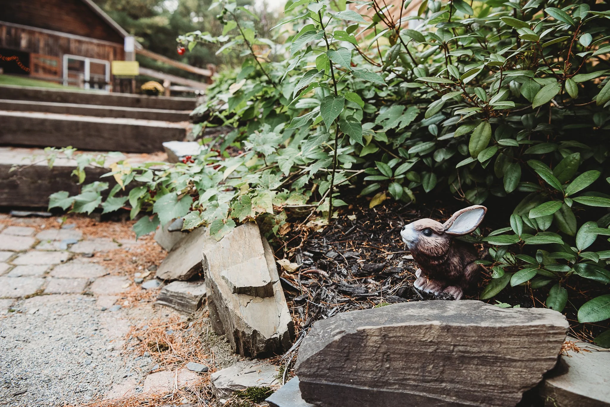 Acadia National Park elopement photographed by a Maine elopement photographer with expertise in coastal weddings, national park permits, and intimate ceremonies
Downeast Maine elopement photography capturing a couple getting married along the rocky c