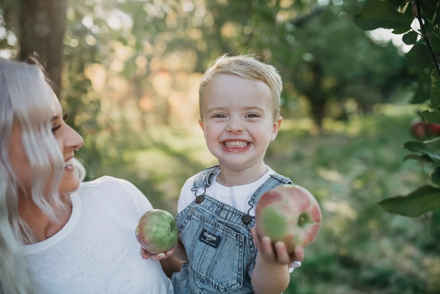 October 4, 2026 Fall Family Mini Sessions in Maine | Wallingford’s Orchard, Auburn