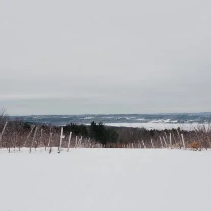 Acadia National Park elopement photographed by a Maine elopement photographer with expertise in coastal weddings, national park permits, and intimate ceremonies
Downeast Maine elopement photography capturing a couple getting married along the rocky c
